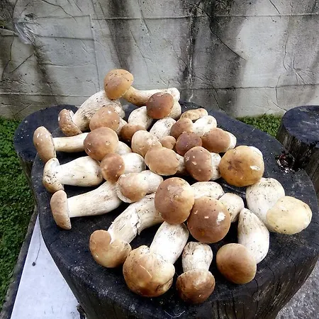 Yalivets Lodge Oryavchyk