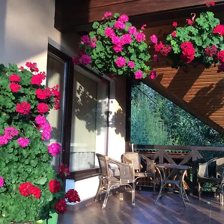 Domek letniskowy Yalivets *