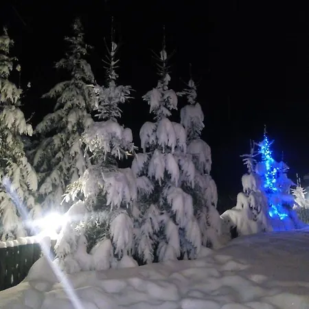 Lodge Yalivets Oryavchyk